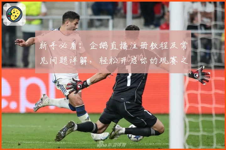 新手必看：企鹅直播注册教程及常见问题详解，轻松开启你的观赛之旅
