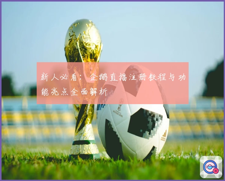 新人必看：企鹅直播注册教程与功能亮点全面解析