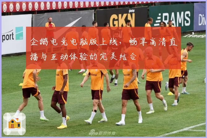 企鹅电竞电脑版上线，畅享高清直播与互动体验的完美结合