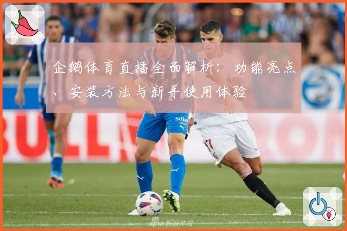 企鹅体育直播全面解析：功能亮点、安装方法与新手使用体验