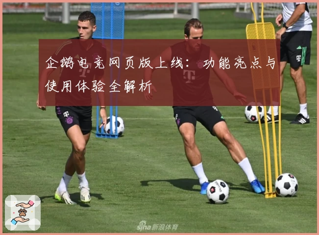 企鹅电竞网页版上线：功能亮点与使用体验全解析