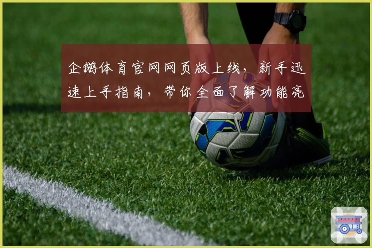 企鹅体育官网网页版上线，新手迅速上手指南，带你全面了解功能亮点与最新体验