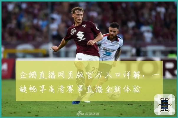 企鹅直播网页版官方入口详解,一键畅享高清赛事直播全新体验