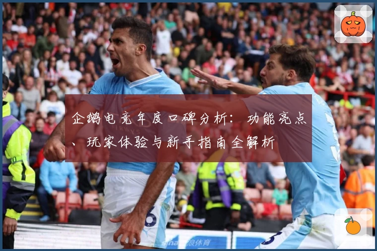 企鹅电竞年度口碑分析：功能亮点、玩家体验与新手指南全解析